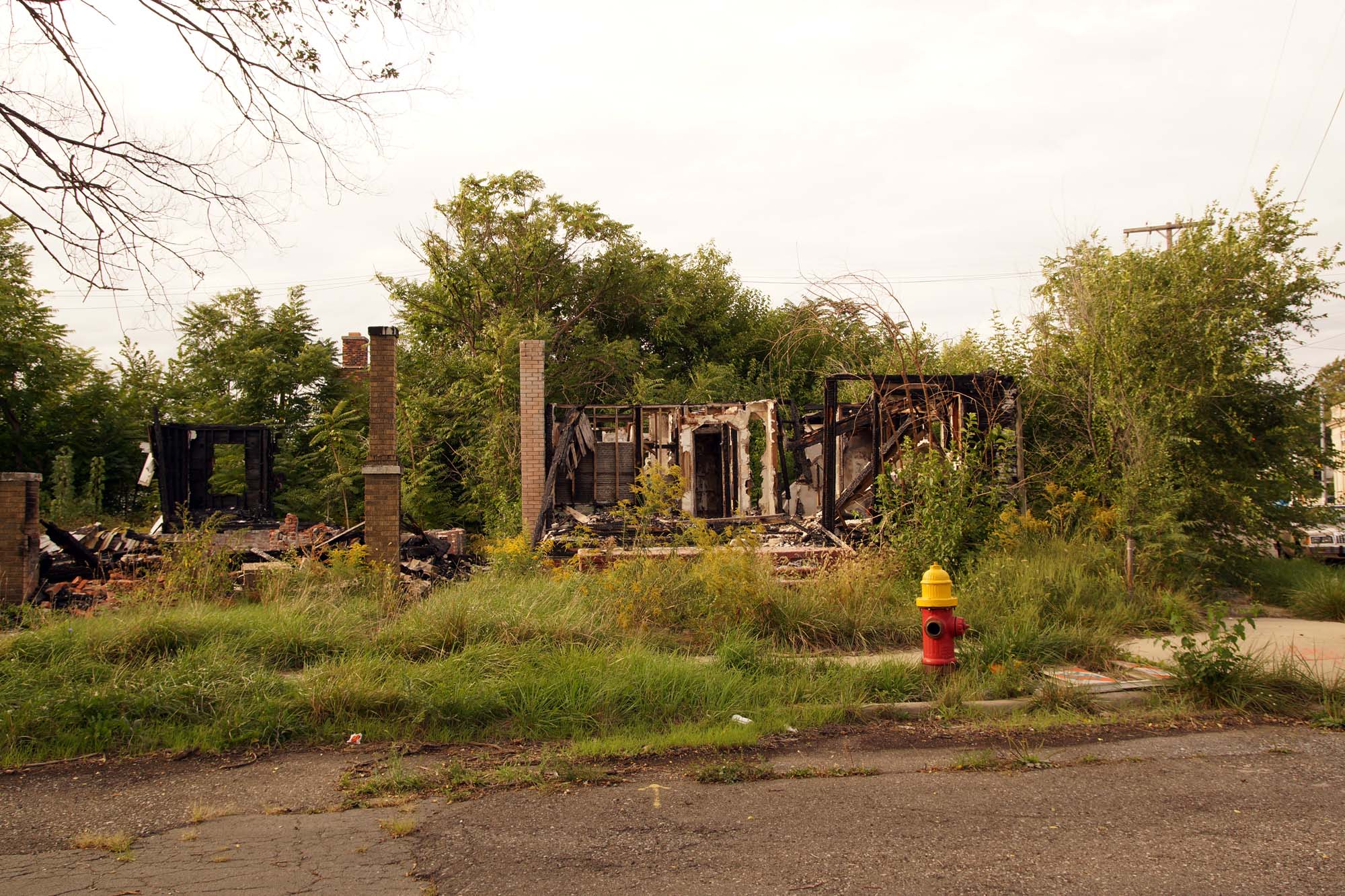 DSC02852-Bearbeitet_1