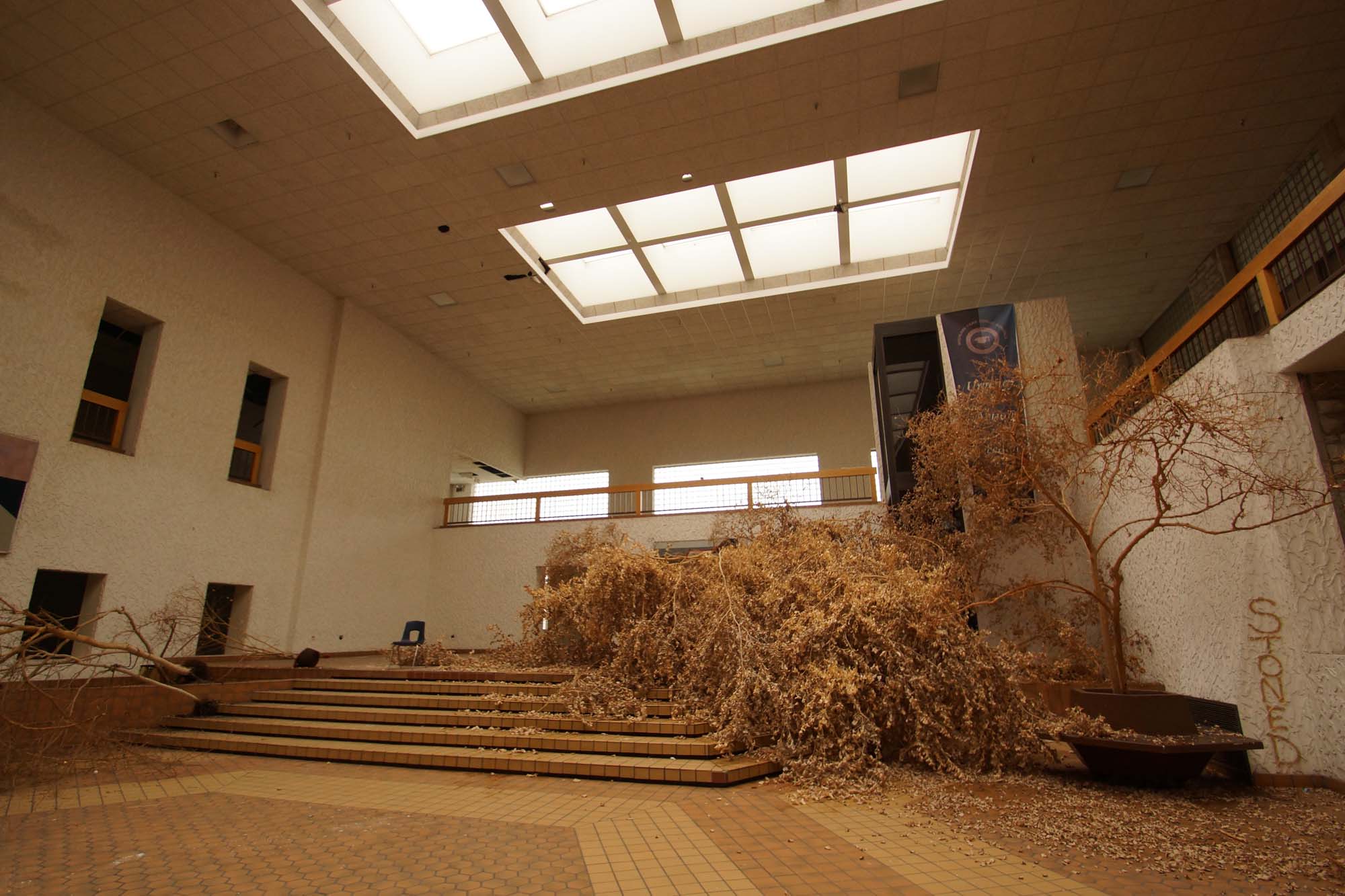 DSC02884-Bearbeitet_1