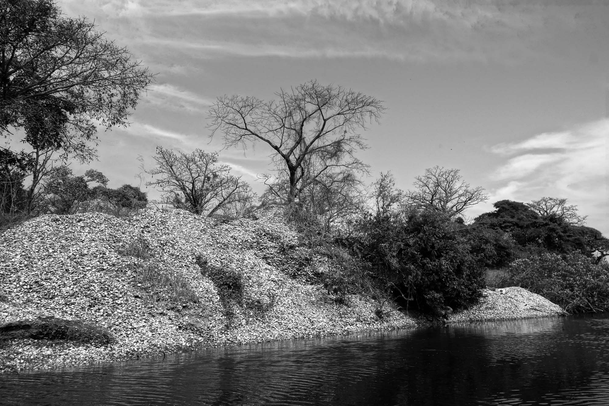 DSC04214-Bearbeitet_1