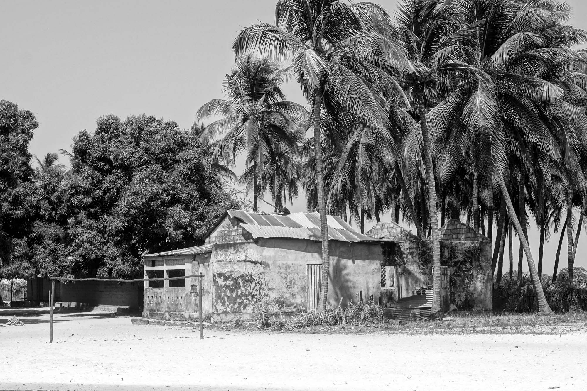 DSC04406-Bearbeitet_1