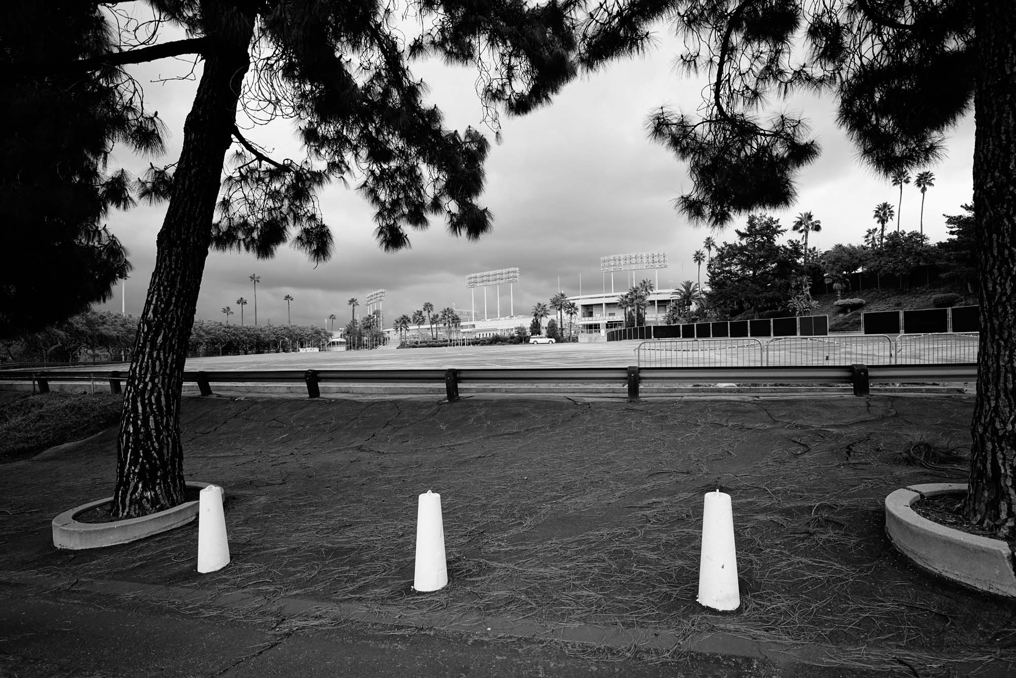 _DSC0812_1