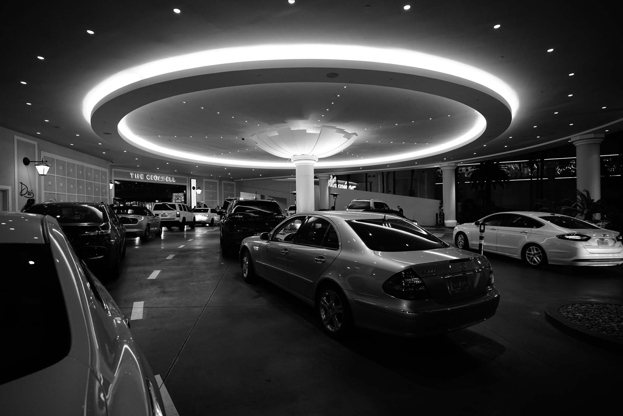 _DSC1251_1