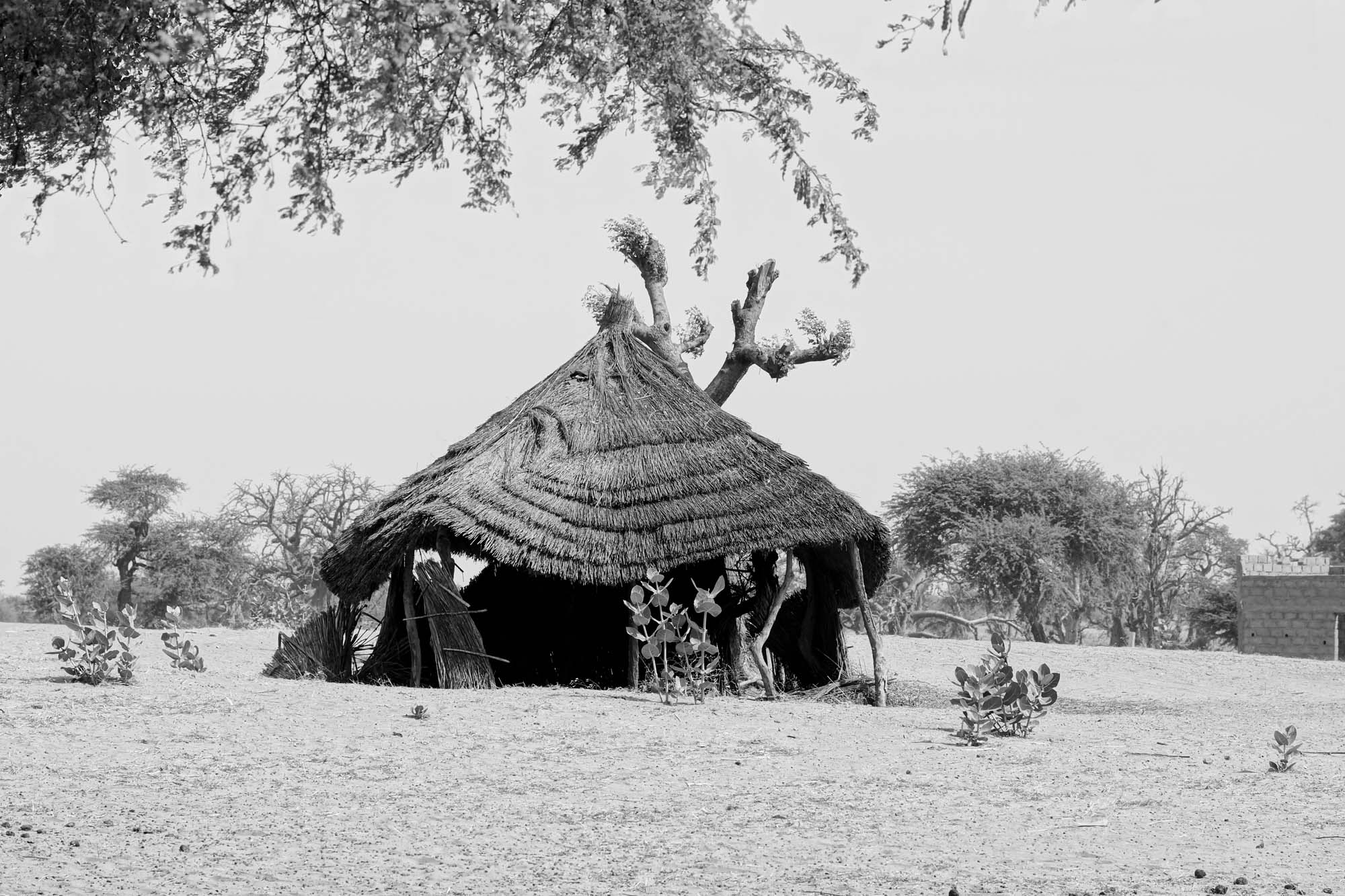 _DSC1919-Bearbeitet_1